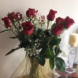 Meet your Posher, Peque